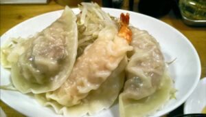 gyoza2